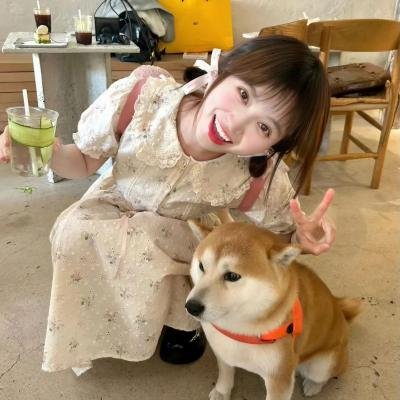 草地英熊